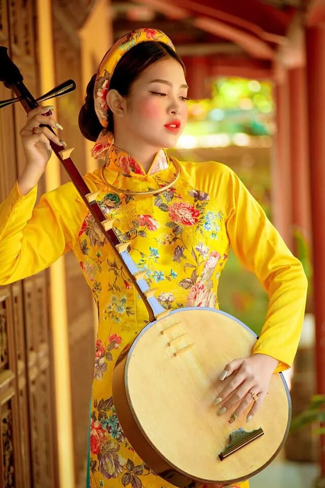 aodai vietnam clothing cheongsam aodai vietnam dress vietnamese traditionally d image 2