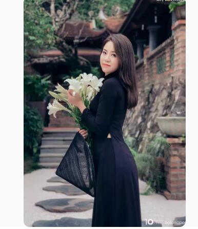 Vietnam Ao Dai Women Chiffon Dress Spring Cheongsam Long image 4