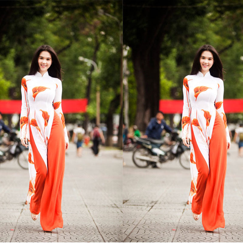 Authentic Vietnam Women Ethnic Clothing Aodai Dress Traditional Two Pieces Set image 0