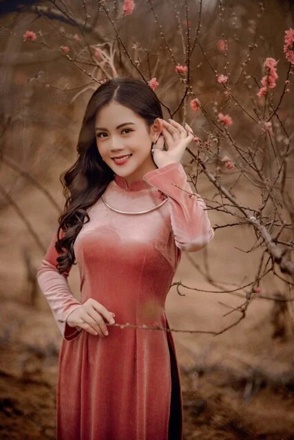 Customized Velvet Women Aodai Vetnam Clothing Long Cheongsam Aodai Vietnamese image 2
