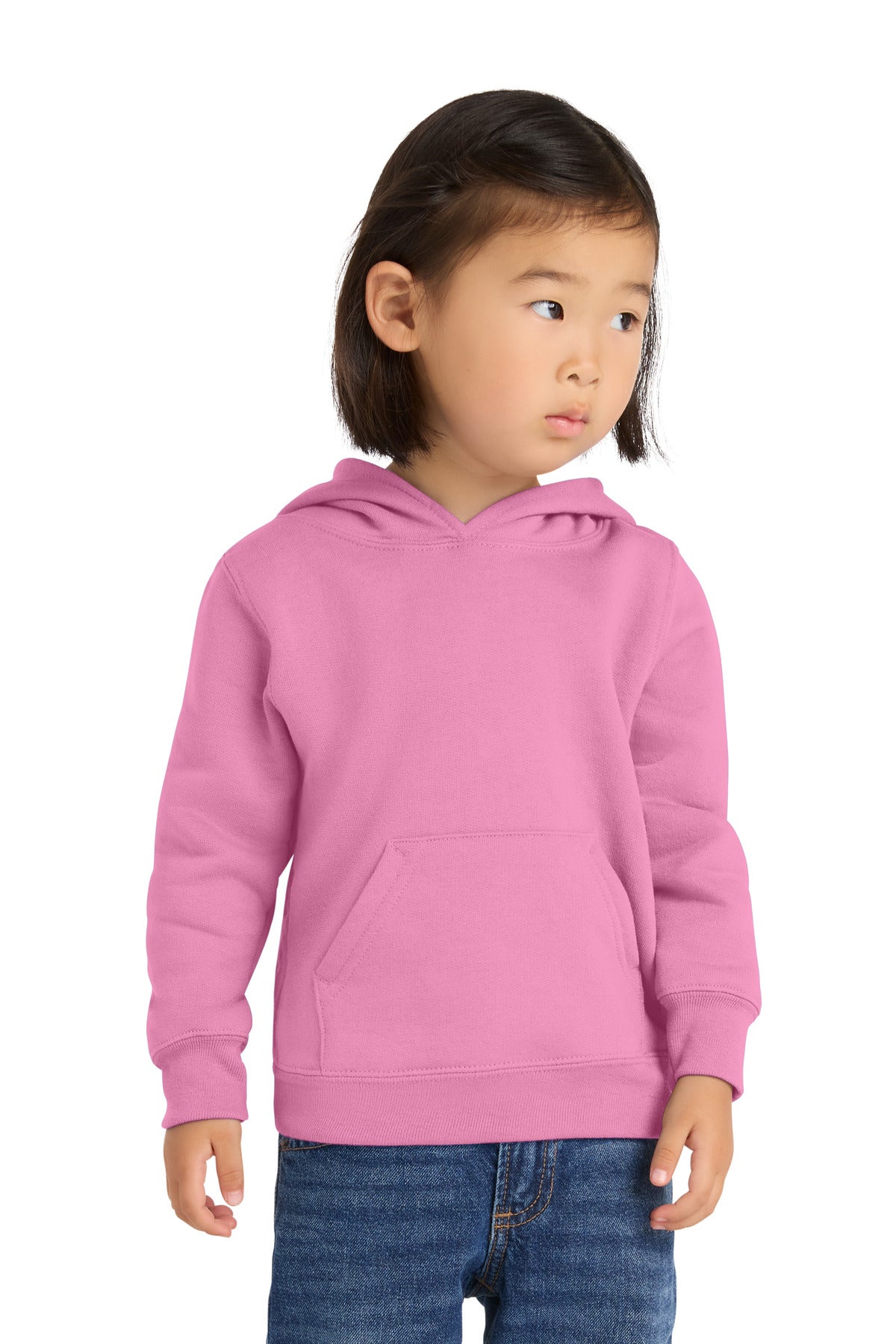 Port & Coâ„¢ Toddler Core Fleece Pullover Hooded Sweatshirt. CAR78TH