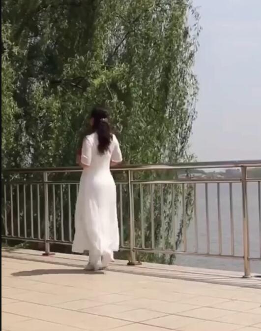 Traditional Vietnam Ao dai Women Cheongsam Summer Oriental Dress Include Pants image 4