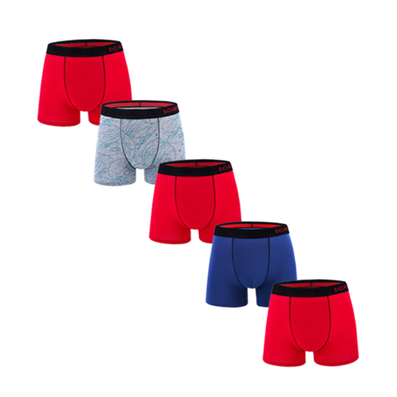 5Pcs Men's Panties Cotton Boxer Sexy Man Boxers Underwear Shorts Lots Male Boxe image 4