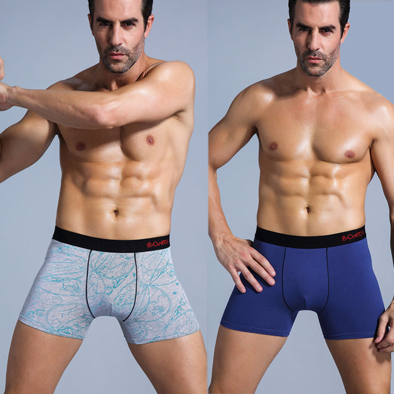 5Pcs Men's Panties Cotton Boxer Sexy Man Boxers Underwear Shorts Lots Male Boxe image 9