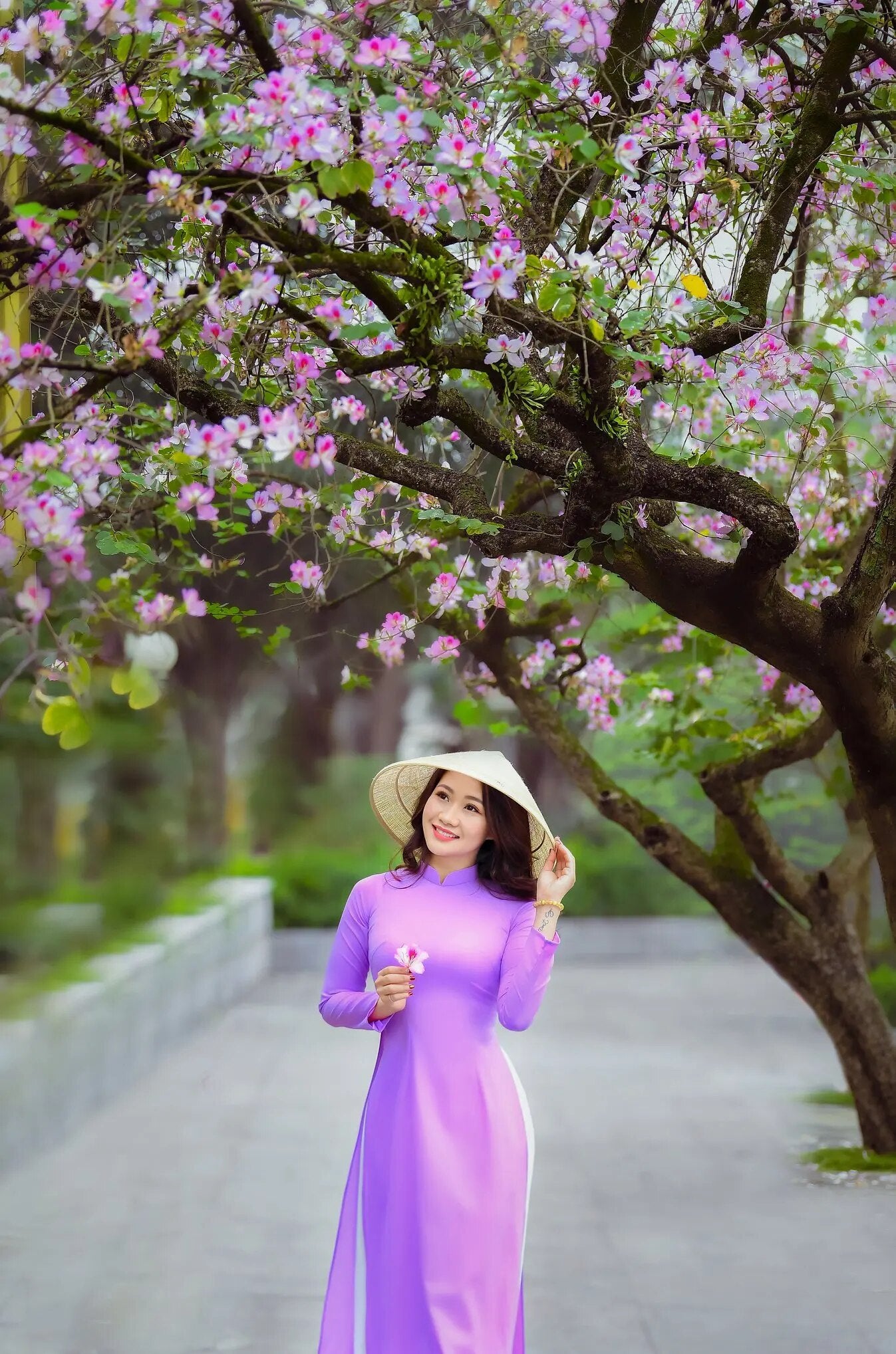 aodai vietnam clothing cheongsam aodai vietnam dress vietnamese traditionally d image 2