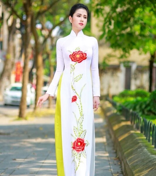 aodai vietnam clothing cheongsam aodai vietnam dress vietnamese traditionally d image 1
