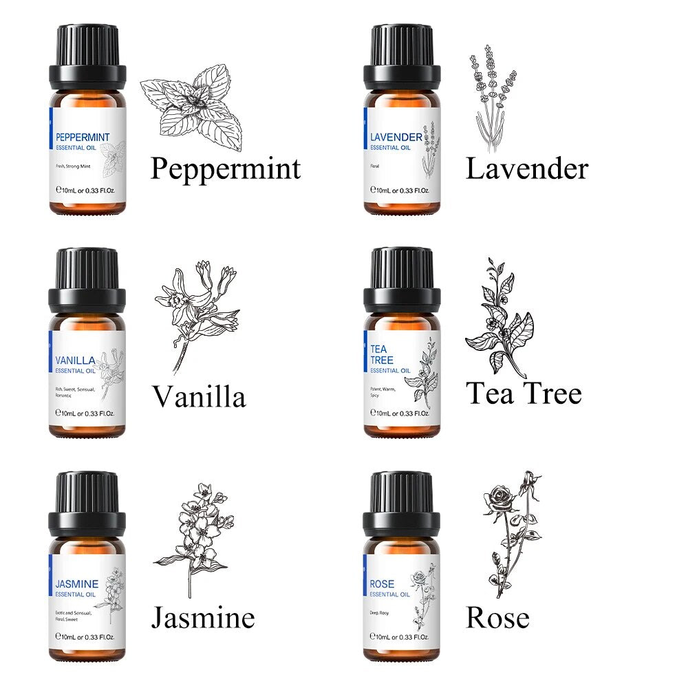 HIQILI 6 pcs Essential Oils Set for Diffuser Humidifier Eucalyptus Mint Laverde image 2