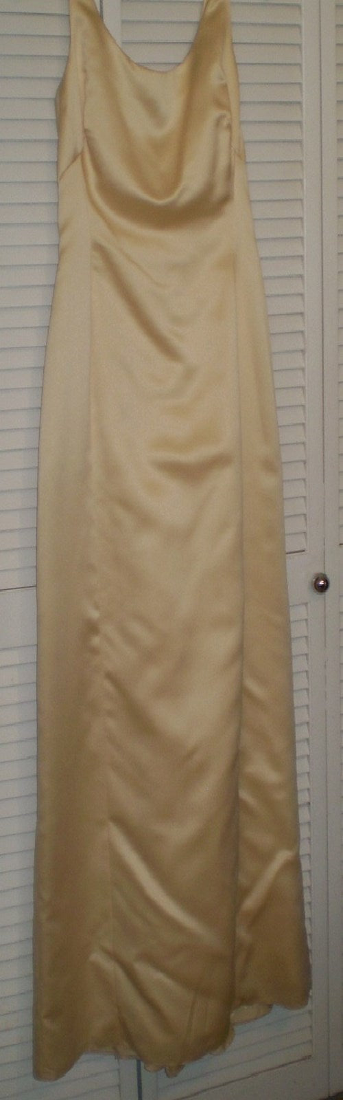Watters & Watters Women Dress Satin Wheat Sleeveless Size 4 image 0