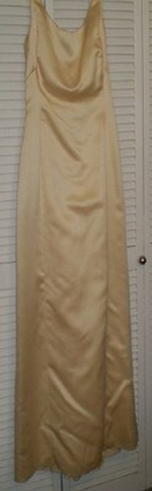 Watters & Watters Women Dress Satin Wheat Sleeveless Size 4 image 1