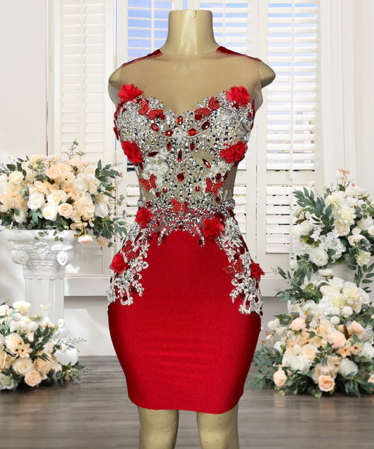 Red Sheath Crystal Homecoming Dresses for Girls 2025 Crystal Beading Hand Made  image 0