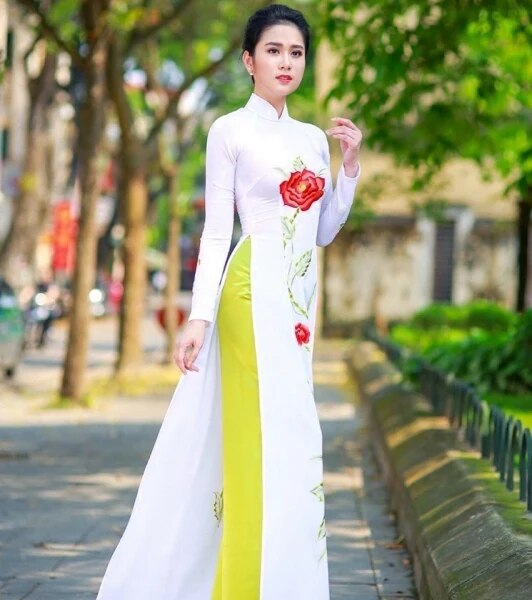 aodai vietnam clothing cheongsam aodai vietnam dress vietnamese traditionally d image 4