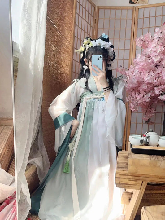 Tang Dynasty Ru Skirt Improved Floral Printed Fairy Dresses for Women Elegant C image 0