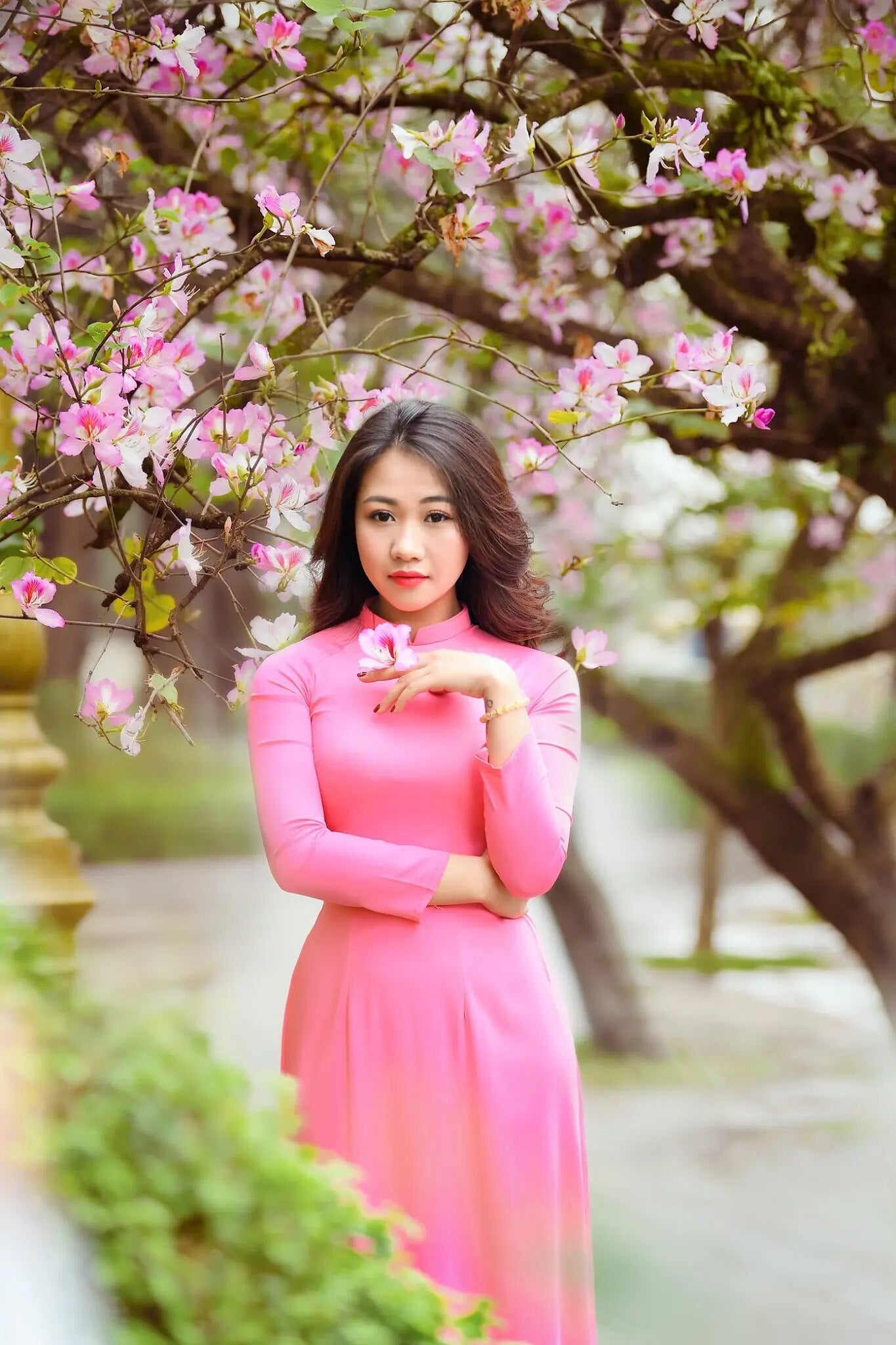 aodai vietnam clothing cheongsam aodai vietnam dress vietnamese traditionally d image 6