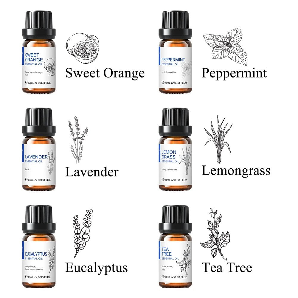 HIQILI 6 pcs Essential Oils Set for Diffuser Humidifier Eucalyptus Mint Laverde image 0