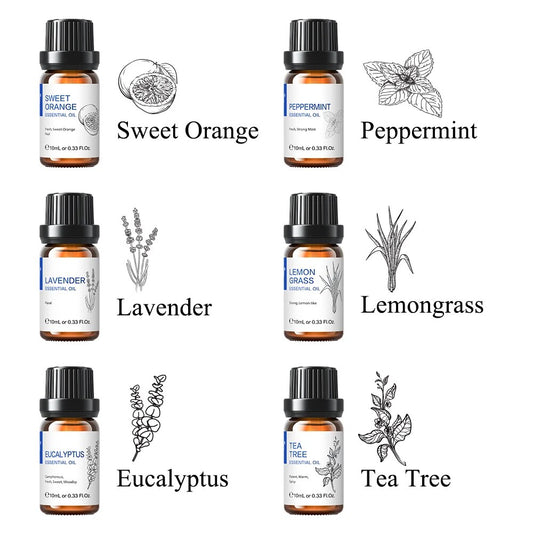 HIQILI 6 pcs Essential Oils Set for Diffuser Humidifier Eucalyptus Mint Laverde image 0