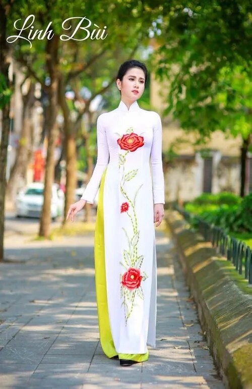 aodai vietnam clothing cheongsam aodai vietnam dress vietnamese traditionally d image 0