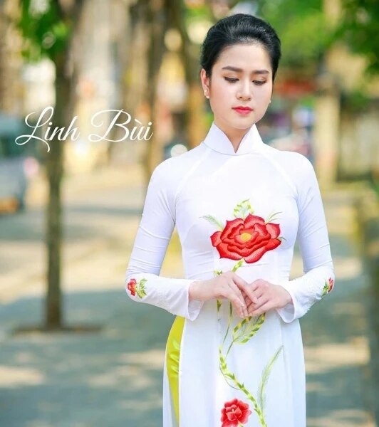 aodai vietnam clothing cheongsam aodai vietnam dress vietnamese traditionally d image 5