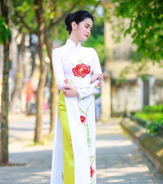 aodai vietnam clothing cheongsam aodai vietnam dress vietnamese traditionally d image 2