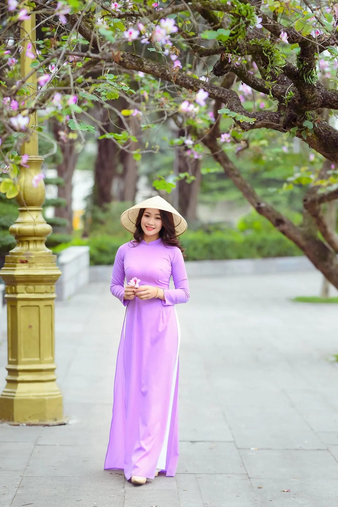 aodai vietnam clothing cheongsam aodai vietnam dress vietnamese traditionally d image 3